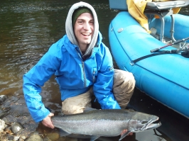 Steelhead Trout Steelhead Trout